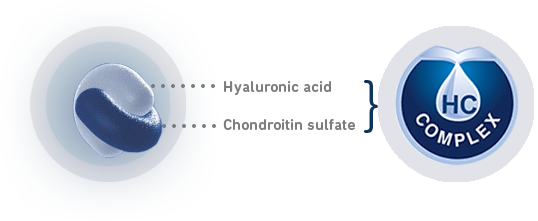 Hyaluronic acid chondroitin sulfate